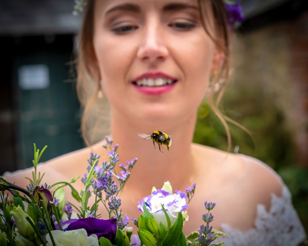 Best of 2019 - Wedding Photography