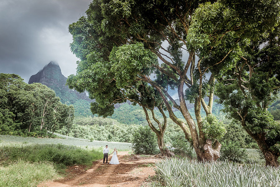 Best Destination Wedding Photo Ideas